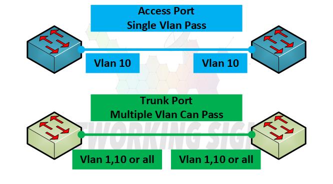 Access Port vs Trunk Port