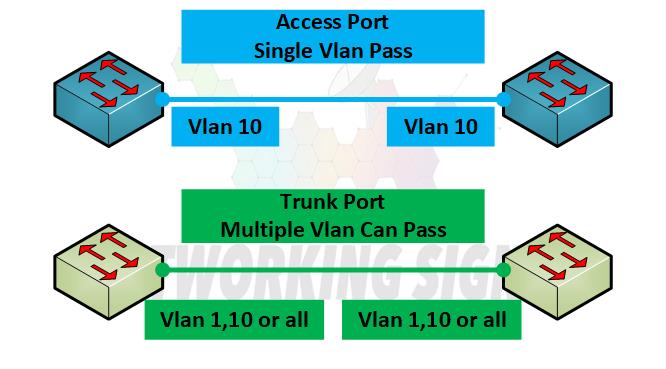 Access Port Vs Trunk Port