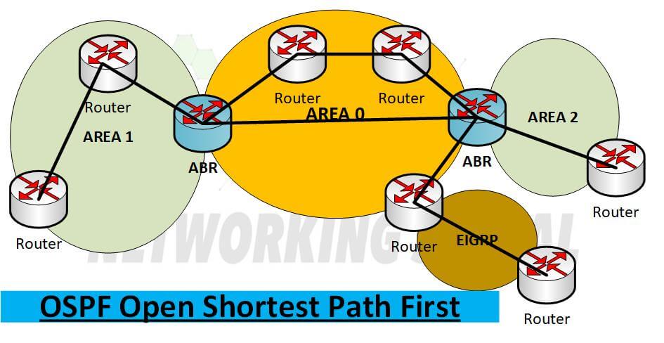 What is OSPF Open Shortest Path First Detail