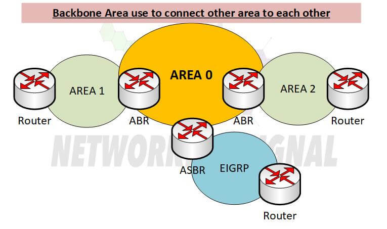 What is the Backbone Area in OSPF Detail