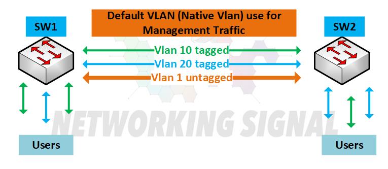 Does The PVID Need To Match Untagged VLAN?