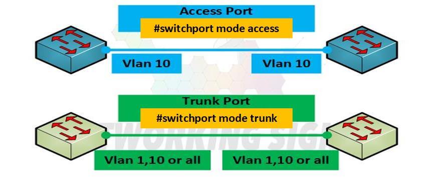 How to Configure Access Port and Trunk Port