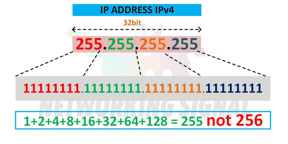 Which Internet Protocol Version is 100.0 point 0.256