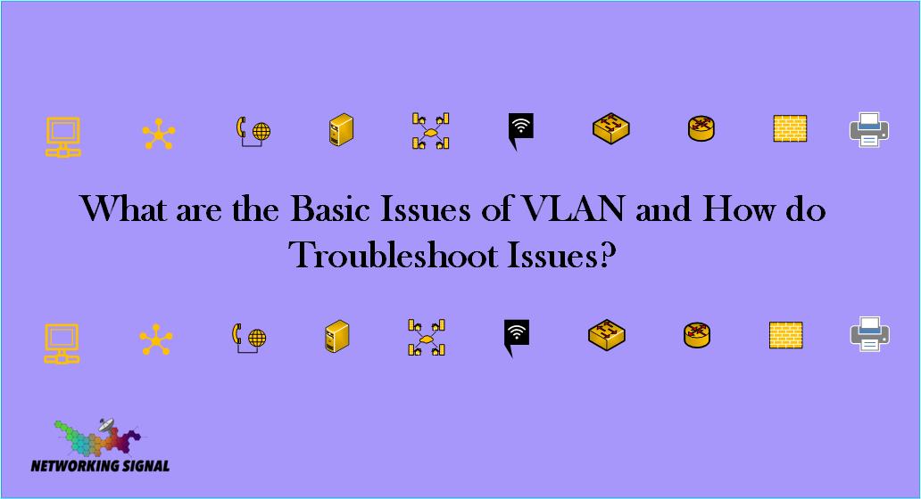 What are the Basic Issues of VLAN and How do Troubleshoot Issues