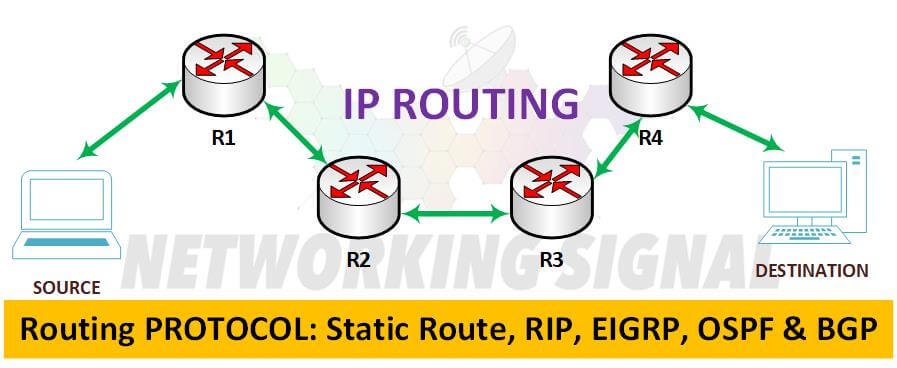 What is IP Routing and Its Types Detail