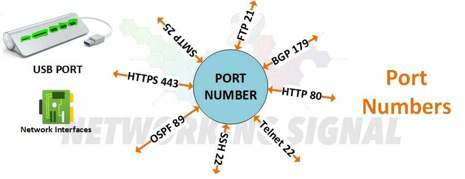 what is port number and what is most commonly used in networking optimized