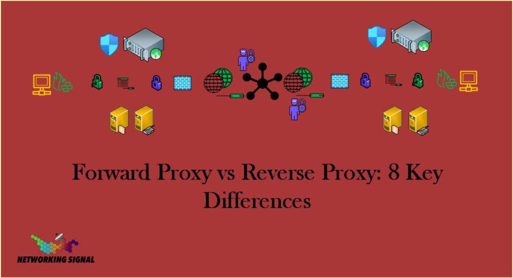 Forward Proxy vs Reverse Proxy: 8 Key Differences 1 Forward Proxy vs Reverse Proxy 8 Key Differences