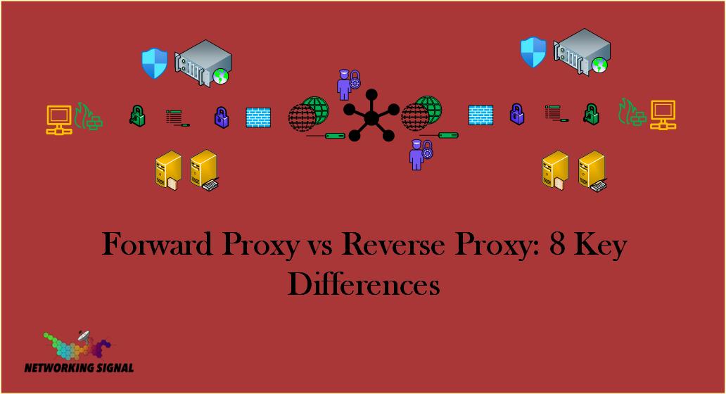 Forward Proxy vs Reverse Proxy 8 Key Differences