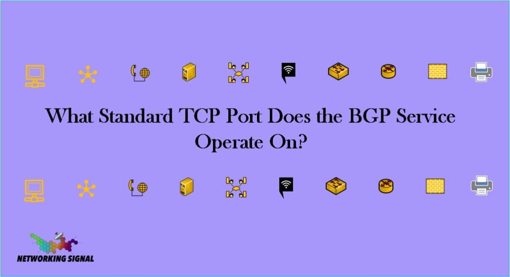 What Standard TCP Port Does the BGP Service Operate On