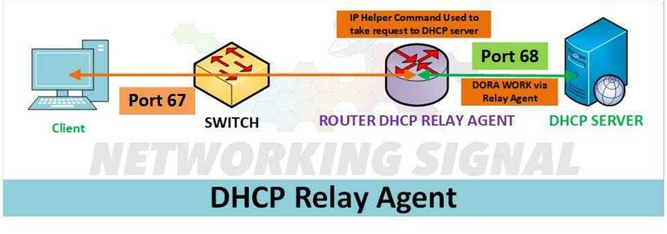 which port does the relay agent use when it sends dhcp information back to the client optimized