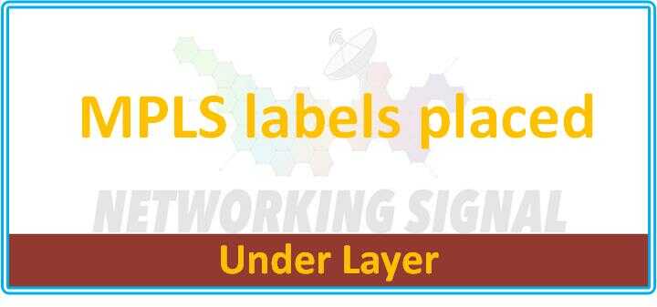 where-are-mpls-labels-placed-within-a-frame_optimized