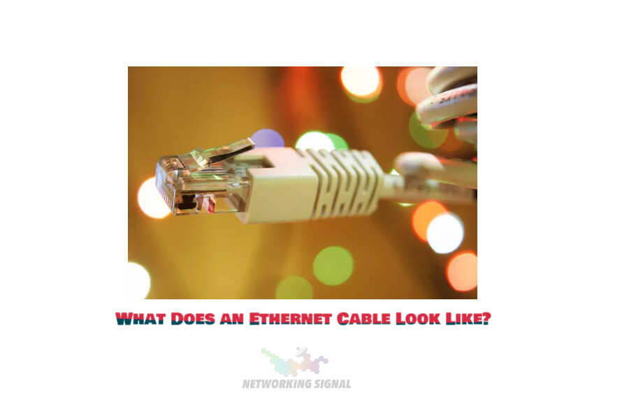 What Does an Ethernet Cable Look Like
