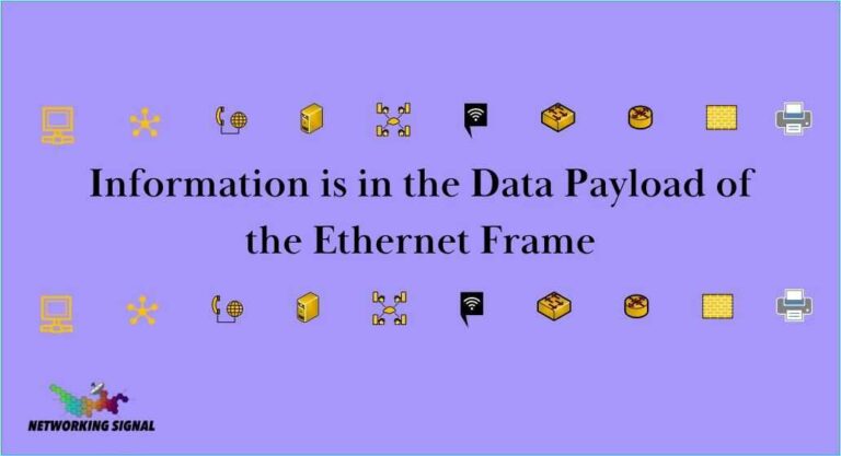 What Information is in the Data Payload of the Ethernet Frame?